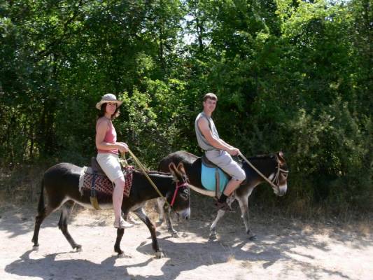 ����-������ ����-���������