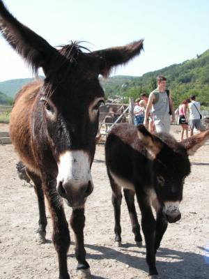 ���� � ��������