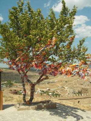 ������ �������