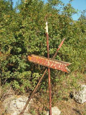 ������ ������