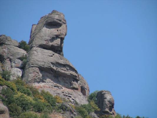 ������ �������