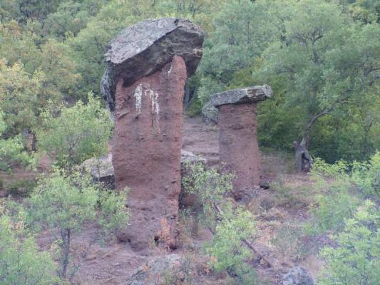 �������� �����