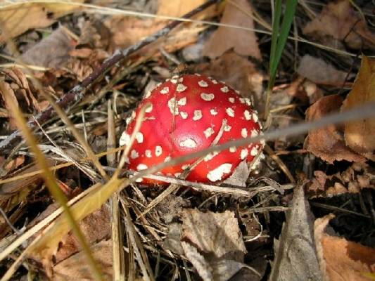 �������