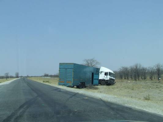 nata botswana