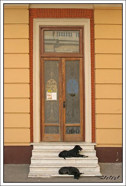 ��� ������ �� ����������