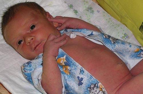 �����, �����