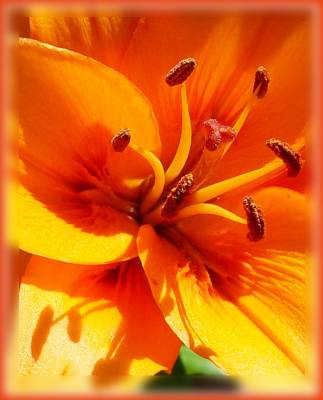 �����-������.