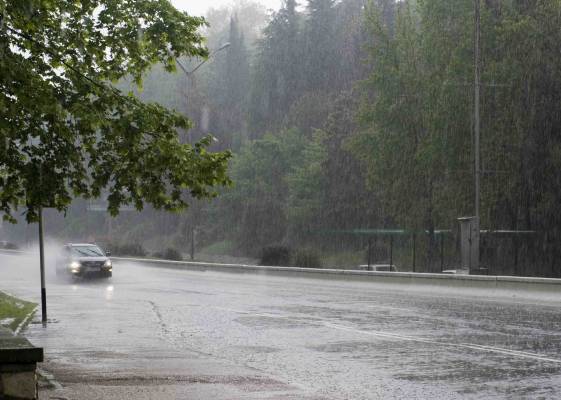 ����. �����