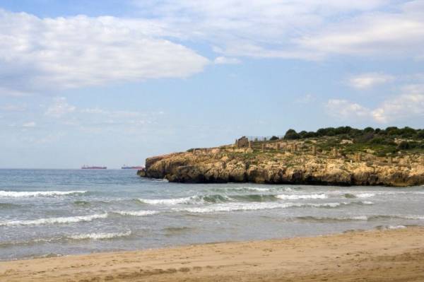 ���������: ���������