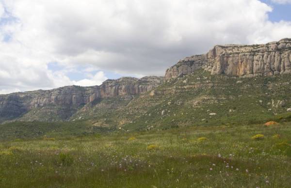 ����� ������-��-�������