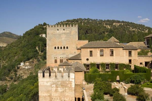 �������: ���������