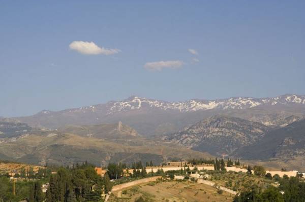 ������ ������