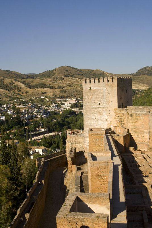 �������: ���������