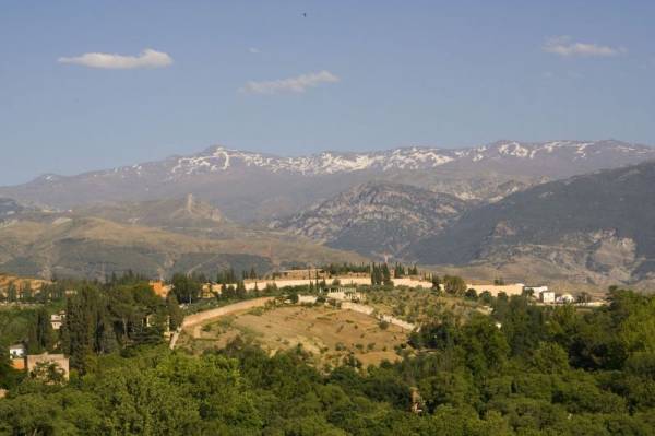 ������ ������