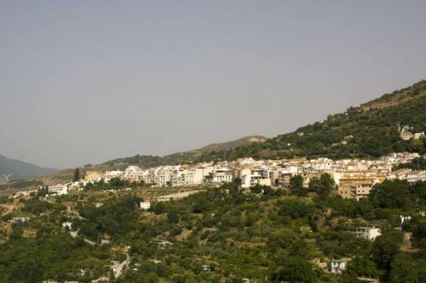 ���-�����������