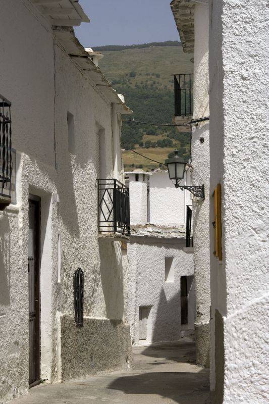 ������ ���������