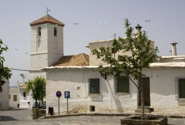 ������ ���������