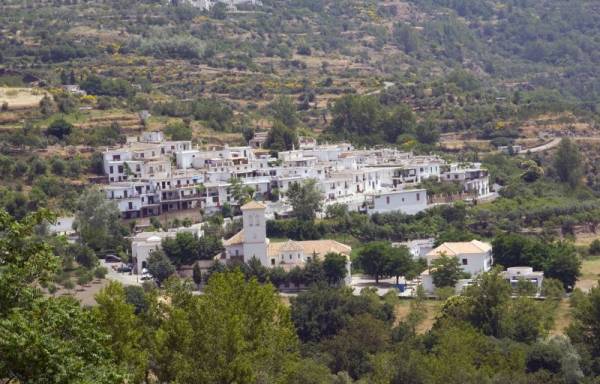 ���-�����������