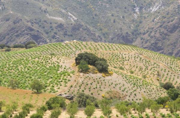 ���-�����������