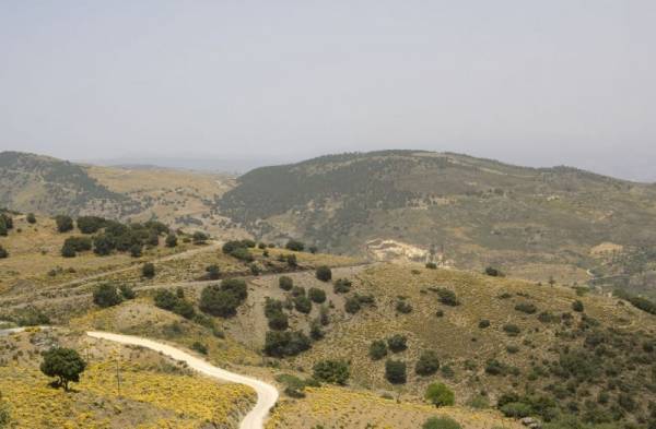 ���-�����������