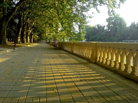 ���������� ���� ����