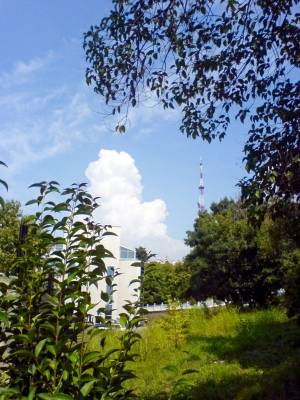 ��������� ��������� 