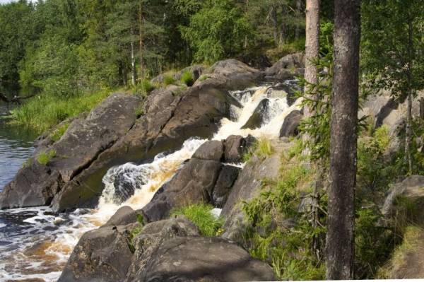 ���� ��������