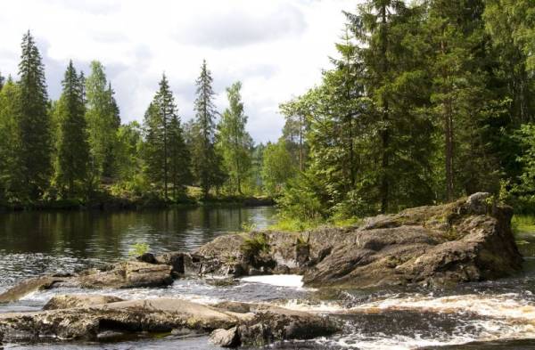 ���� ��������