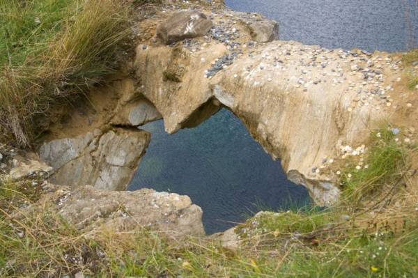 ��������: ��������� �����