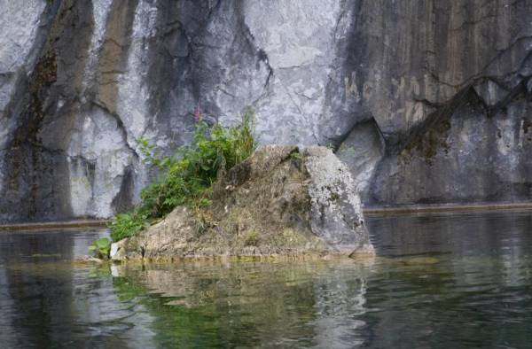 ��������: ��������� �����