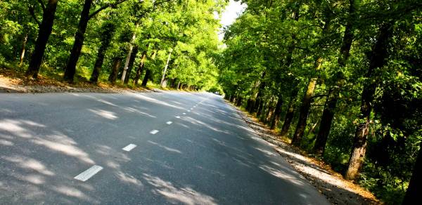 ����� ����������