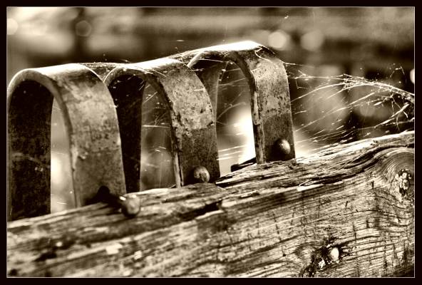 ���� � ��������