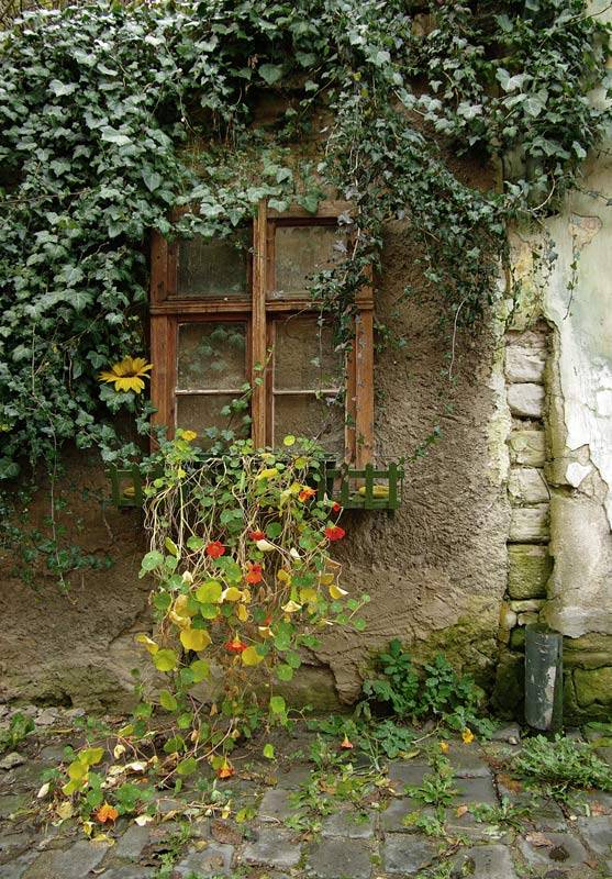 ������� 3...