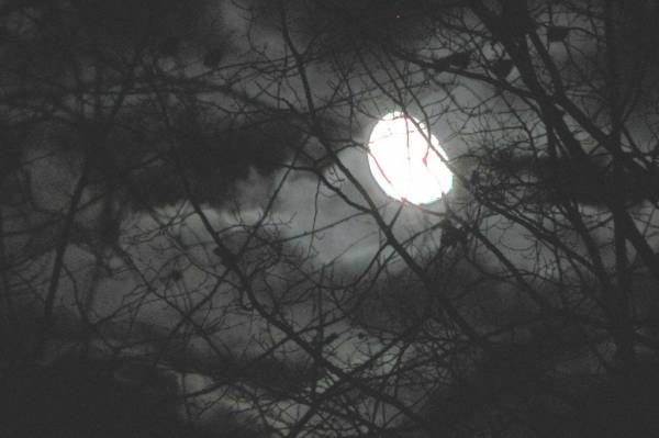 My Moon 3
