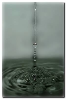 Velle non discitur...