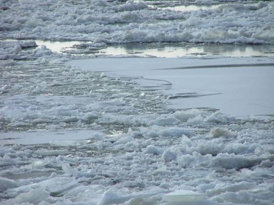 ���������20