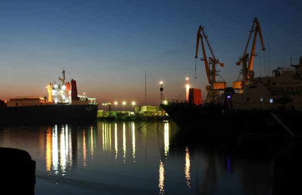 ������������ ����