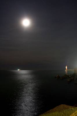 ������ ����� 