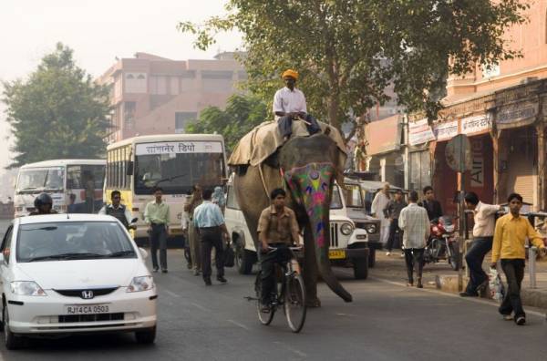 �� ������ ��������