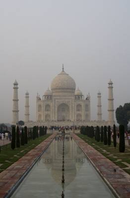 ���� �����, ����