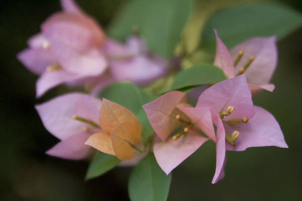 ��������� ����