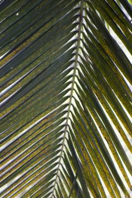 �������� ������