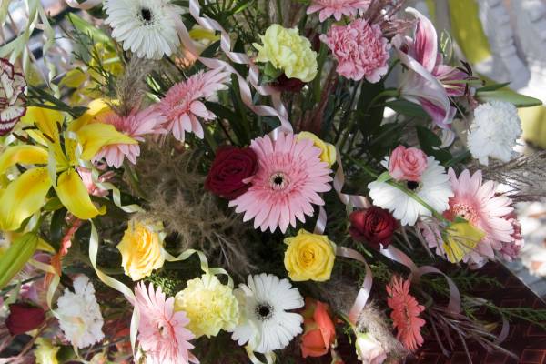 ��������� ����