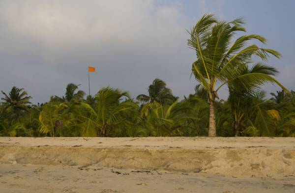 �����������, ������