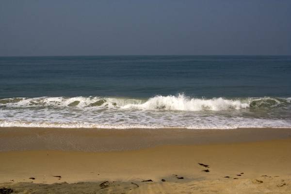 �����������, ������