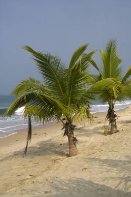 �����������, ������