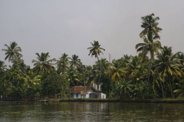 Back water, 