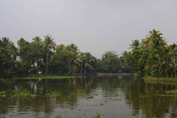 Back water, ������