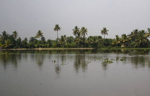 Back water, ������