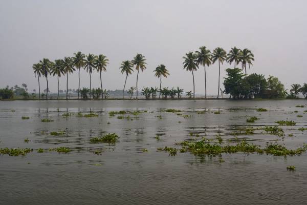 Back water, ������